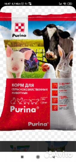 Корма для сельскохозяйственных животных и птиц. В