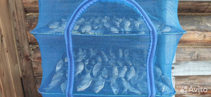 Сушилка для рыбы