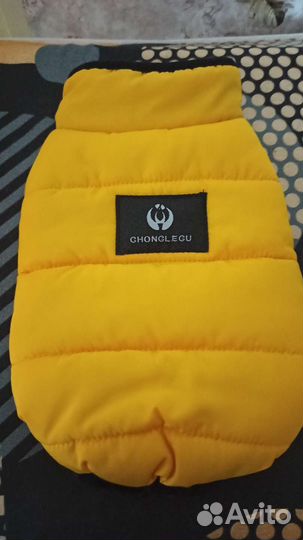 Вещи для маленькой собачки