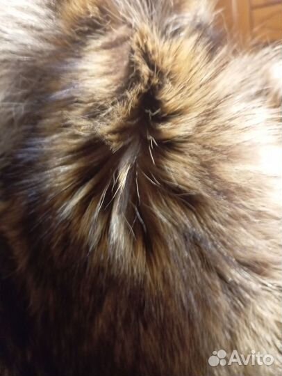 Мужская зимняя куртка пуховик