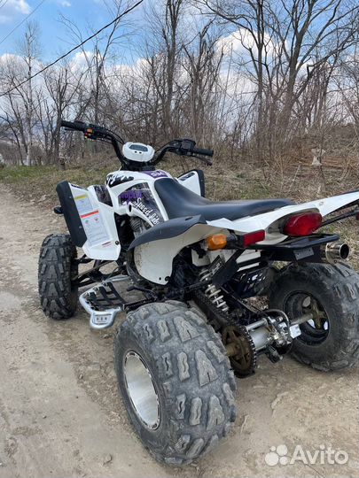 Raptor 350atv