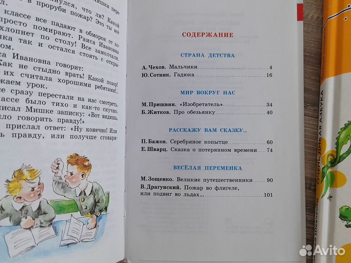 Книги внеклассное чтение