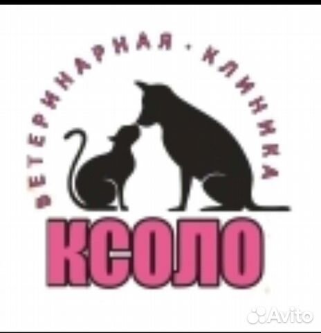 Ассистент ветеринарного врача