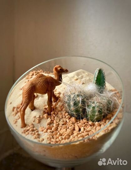 Флорариумы разные на заказ