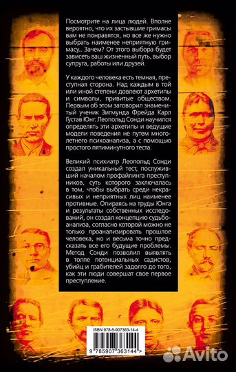 Поталогия влечений Юнг, Сонди