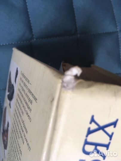 Книга Все о голубях Бондаренко