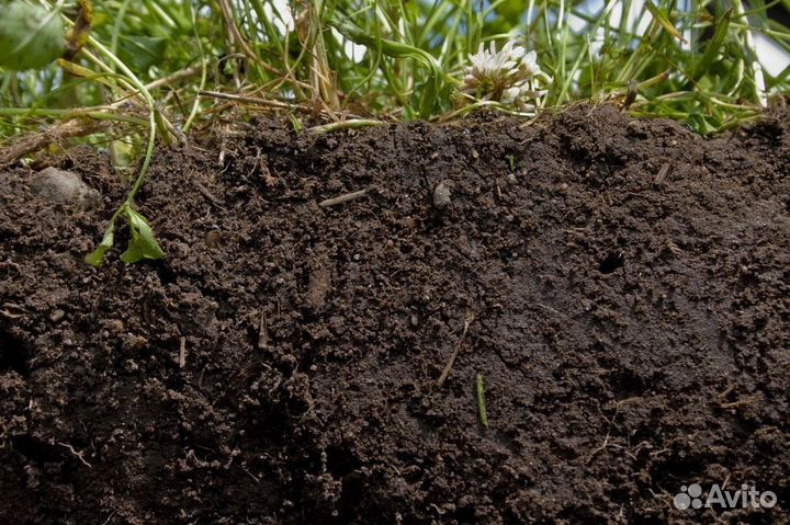 Грунт, чернозем с доставкой