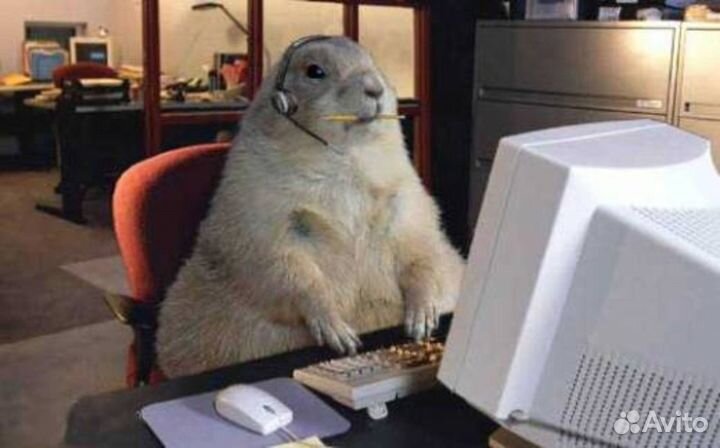 SEO-аудит сайта