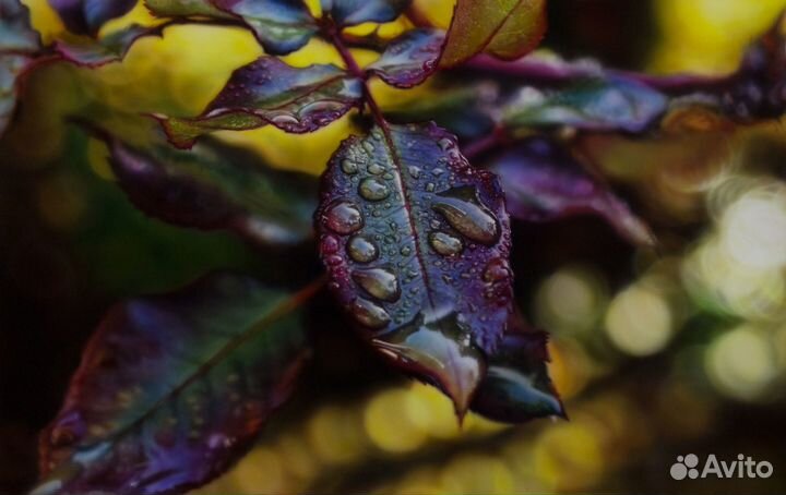 Роспись предметов, вещей \ аэрография