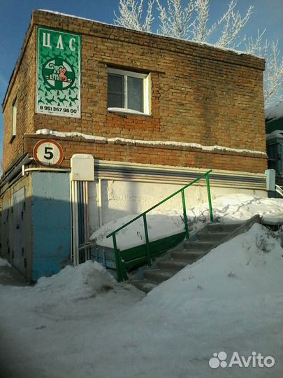 Льготная Стерилизация Животных