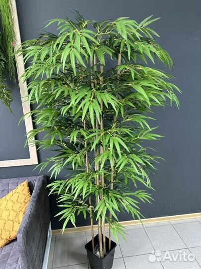 Бамбук искусственный 170 см