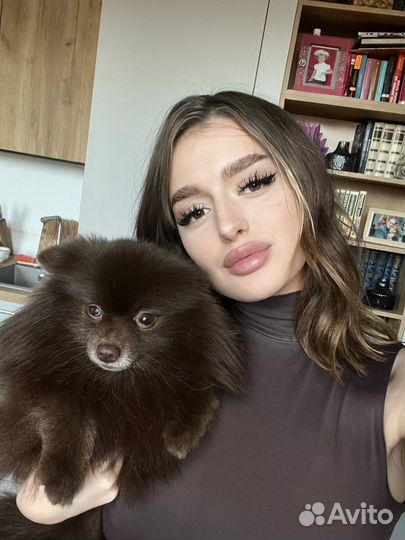 Передержка