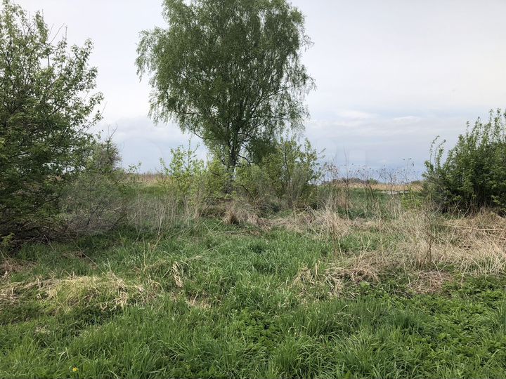 Участок 41,6 сот. (ИЖС)