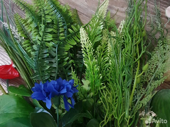 Флористика