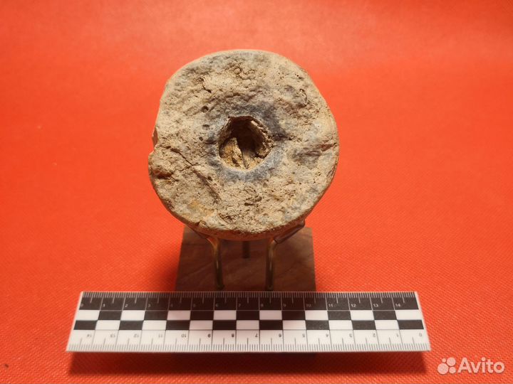 Половина сферической конкреции