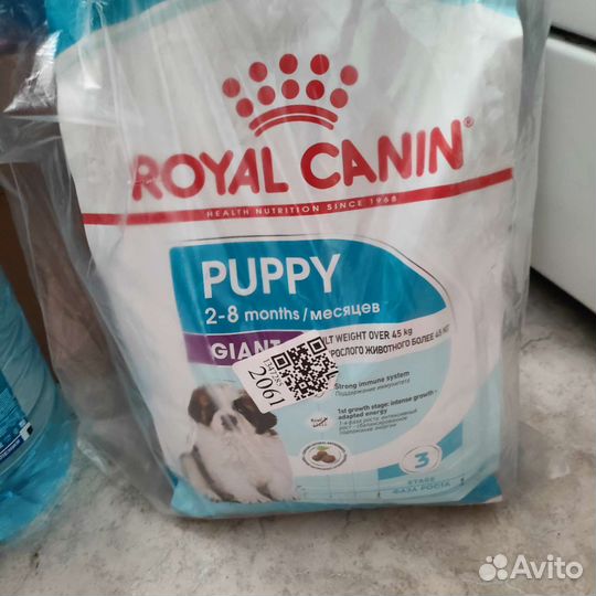 Корм для собак