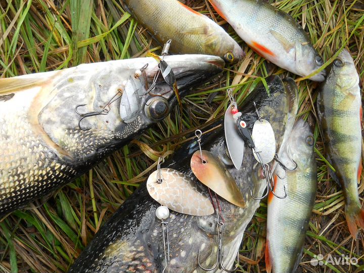 Набор уникальных блёсен