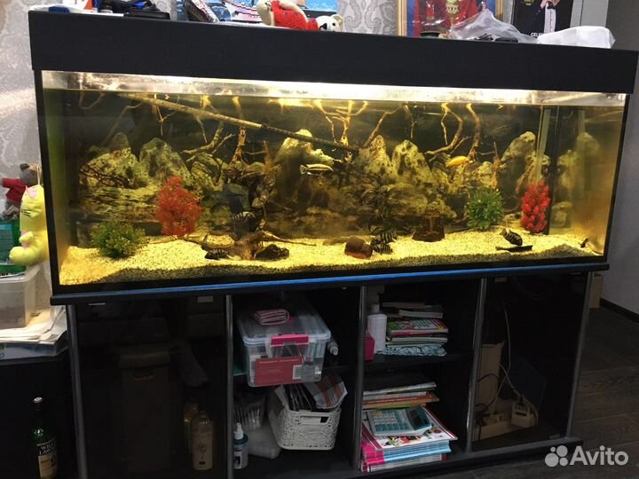 Аквариум 400 литров с тумбой
