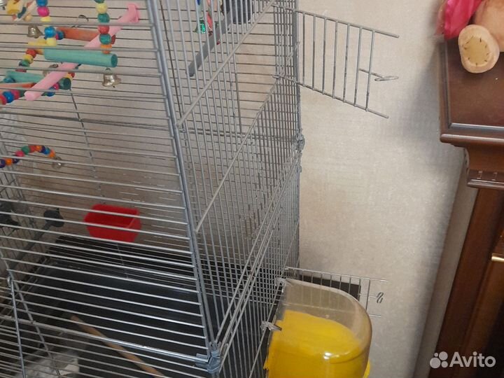 Клетка для крупного попугая