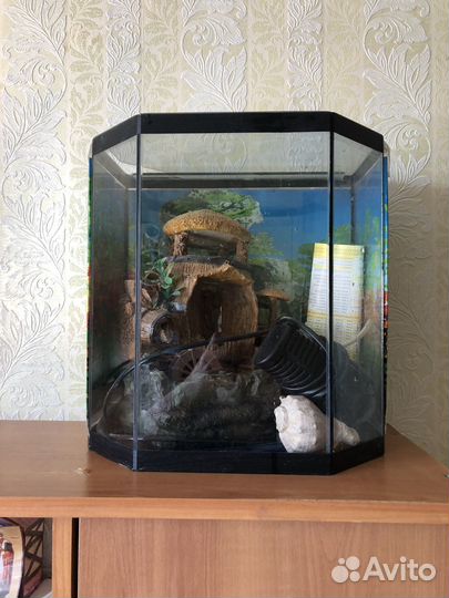 Аквариум