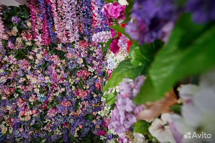 Аренда зала Avangard