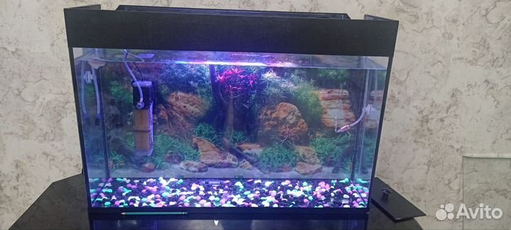 Украшения для аквариума