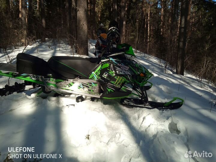 Arctic Cat