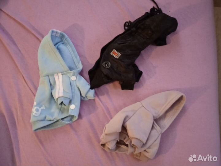 Одежда для собак