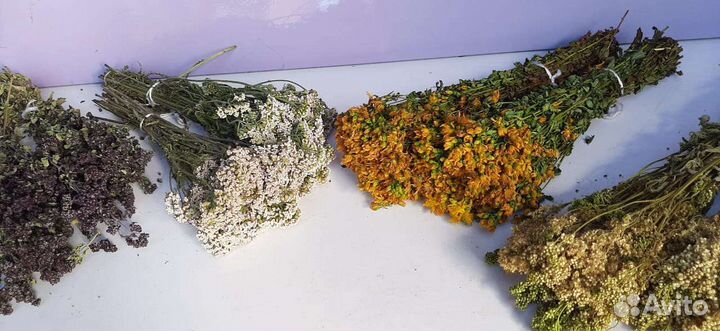 Веники для бани и травы