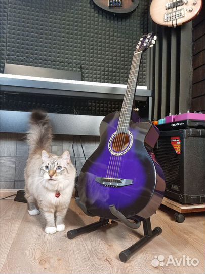 Походная акустическая гитара + аксессуары