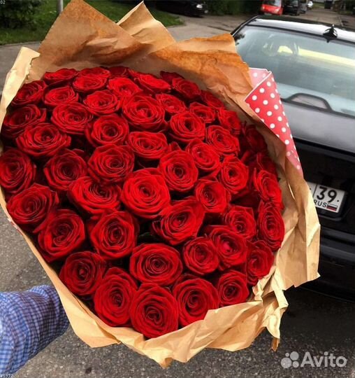 101 роза 51 роза 35 25.Розы красные. Букет роз