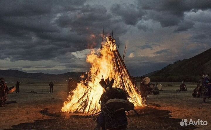 Чай пуэр Бодрость духа бдр8279