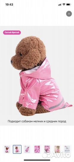 Дождевик для собаки