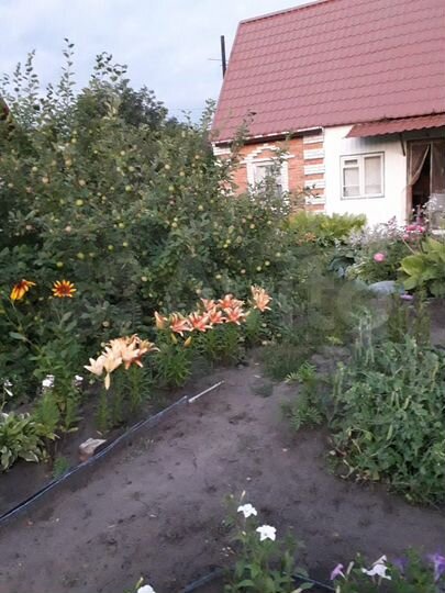 Дача 70 м² на участке 6 сот.