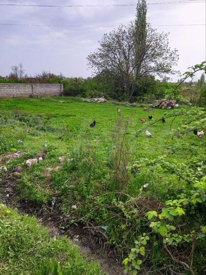 Участок 8 сот. (ИЖС)