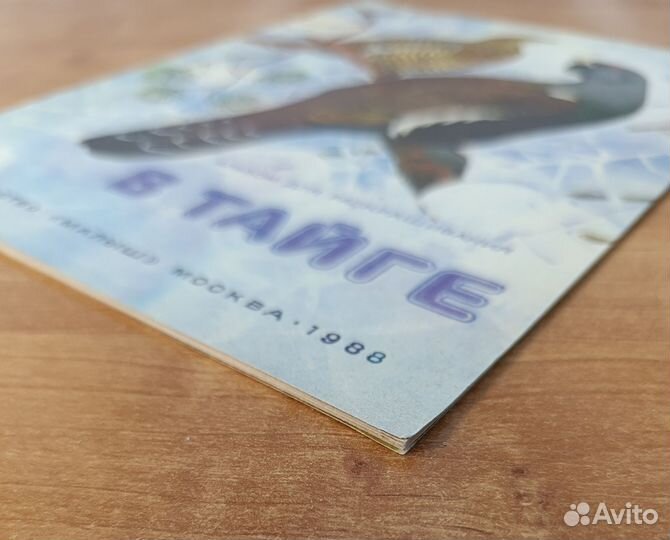 Книга детская В тайге 1988