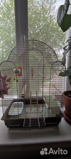 Клетка для попугая Корелла (просторная)