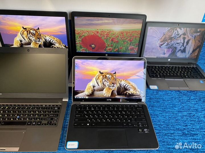 Игровой/премиальный для монтажа ноутбук Dell