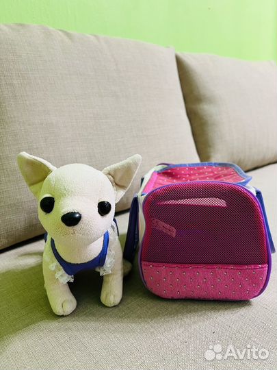 Собака chi chi love Чи-чи-лав