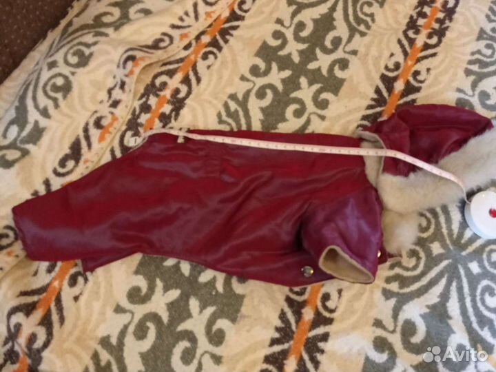 Комбинезоны для мелкой собаки