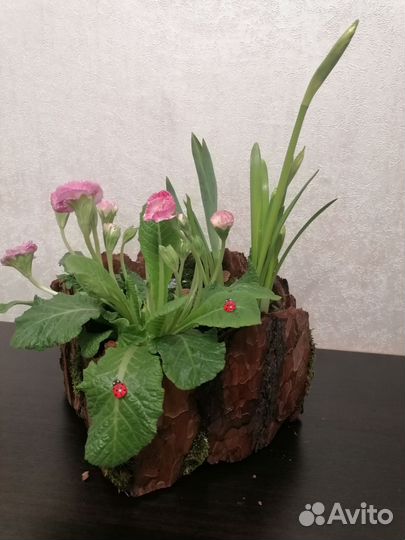 Цветочные композиции