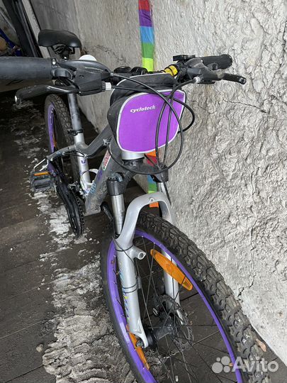 Велосипед горный Giant Enchant 1,24