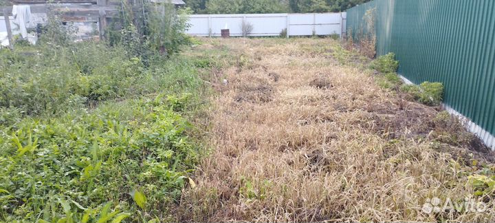 Дезинфекция