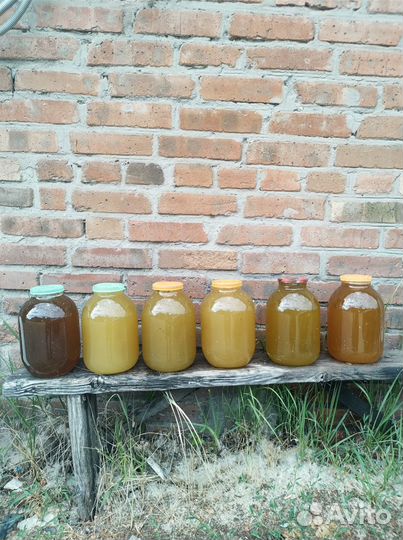 Мёд Майский