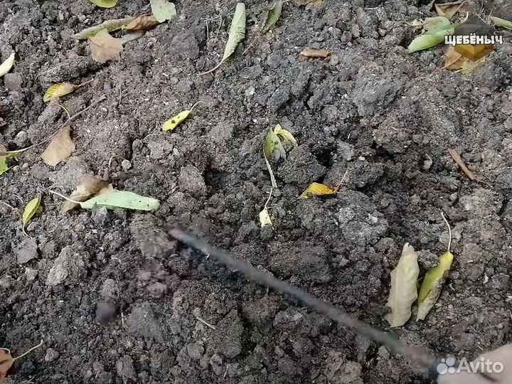 Навоз куриный, куриный помет