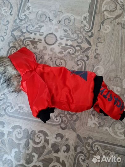 Одежда для животных