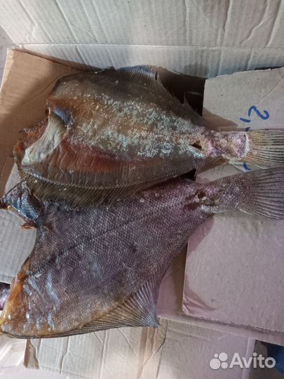 Камбала ерш вяленый и филе ерша