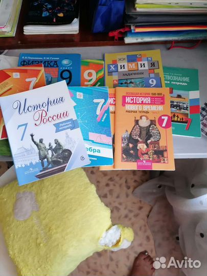 Учебники, рабочие тетради и тренажёры разные