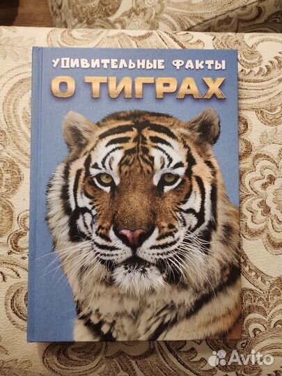 Удивительные факты о тиграх