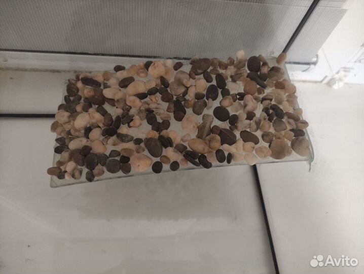 Аквариум для черепах